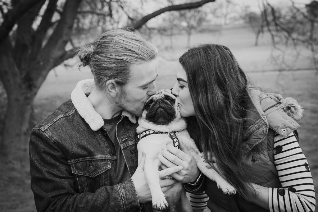engagement family with dog